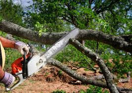 Best Commercial Tree Services  in Salem Lakes, WI