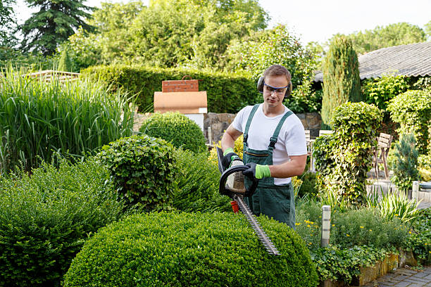 Best Arborist Consultation Services  in Salem Lakes, WI